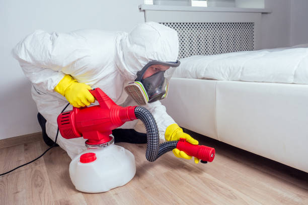 Best Bed Bug Extermination  in Port Orange, FL